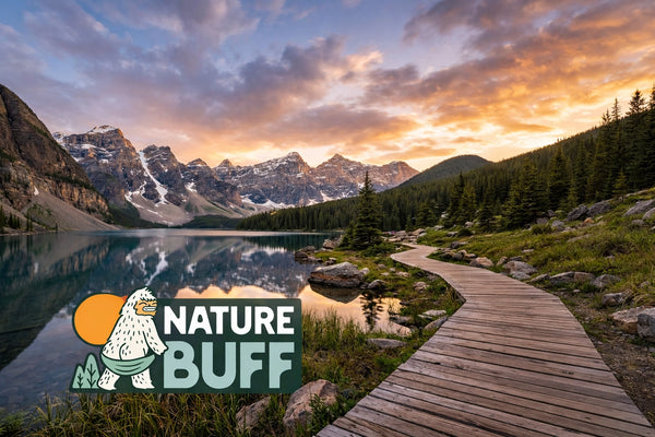 The Ultimate Guide to Hiking Hygiene: Everything You Need to Stay Fresh Without a Shower