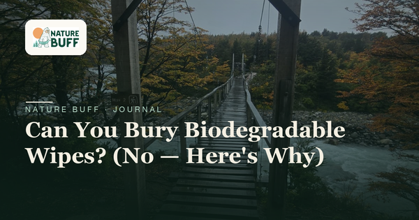 Can You Bury Biodegradable Wipes? (No — Here's Why)