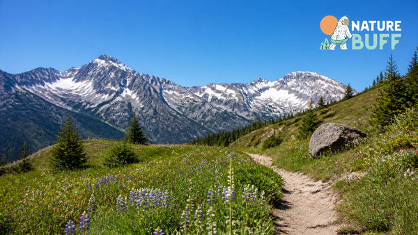 How to Create a Zero-Waste Hiking Hygiene Kit in 5 Minutes