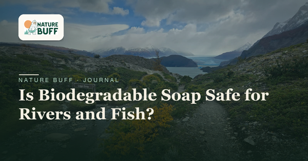 Is Biodegradable Soap Safe for Rivers and Fish?